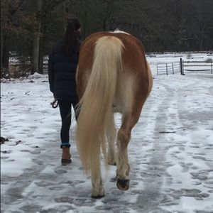 Meet your Posher, Rina